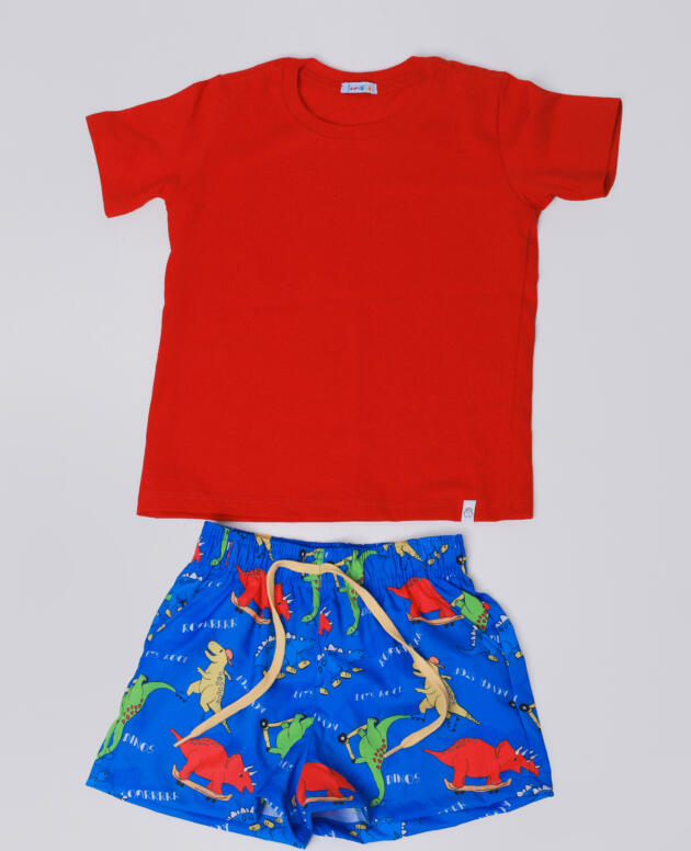 Conjunto Dino Radical